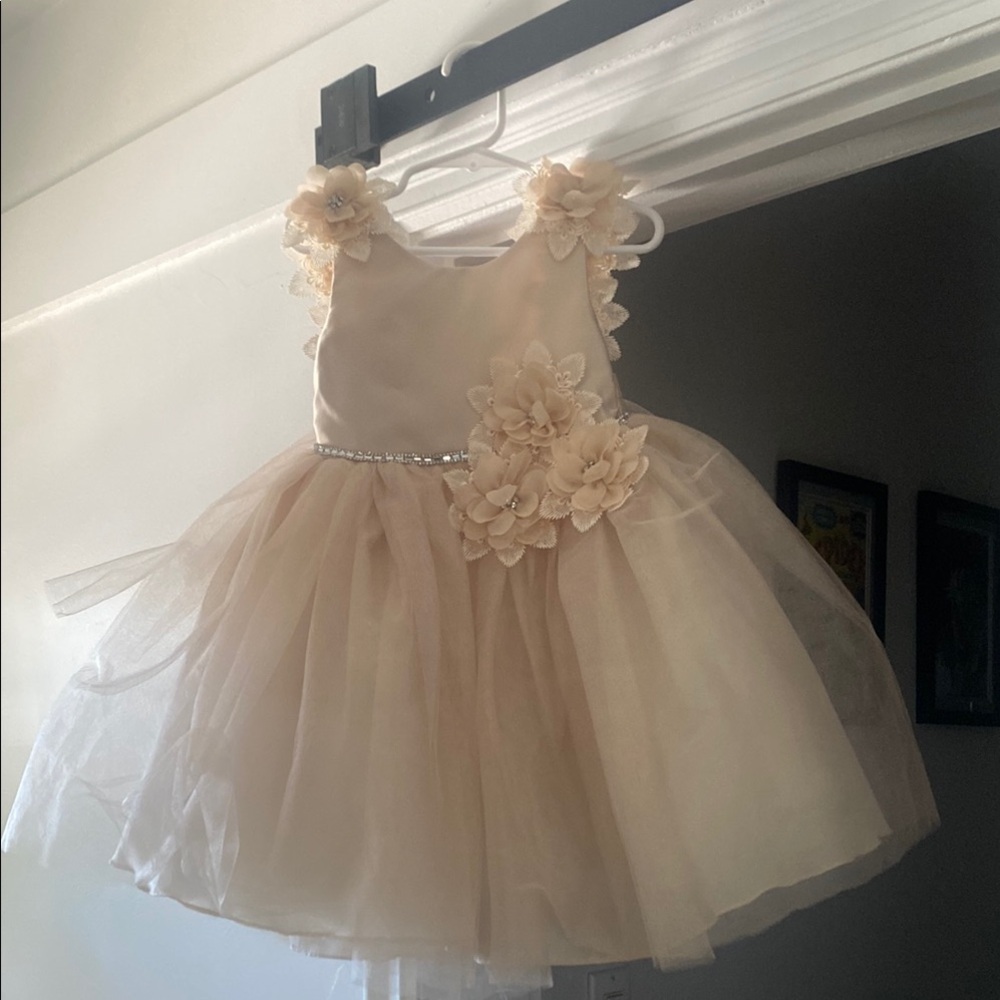 Girls' Champagne Floral Tulle Party Dress